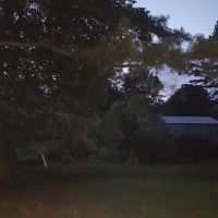 Forestry Department ico