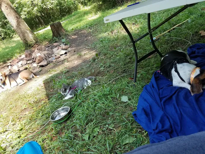 Oronoco Campground Picture 6