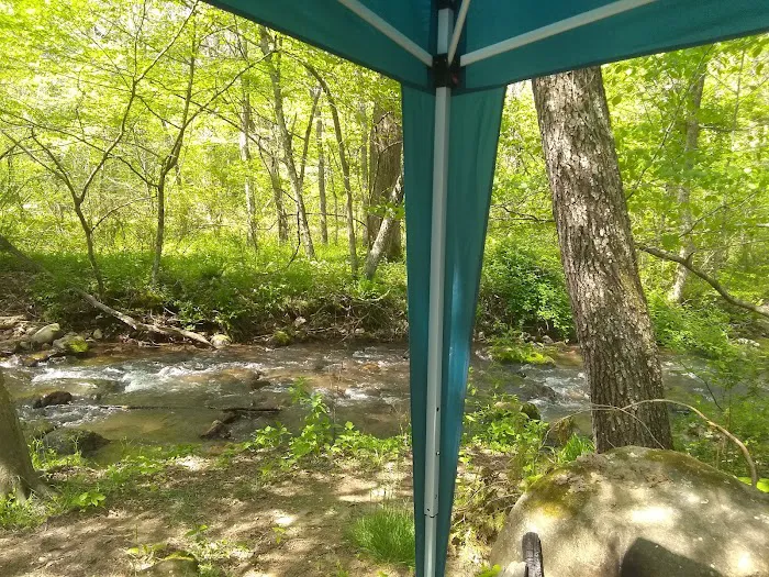 Oronoco Campground Picture 2