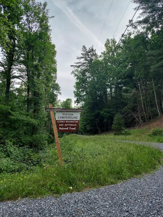 Oronoco Campground Picture 3