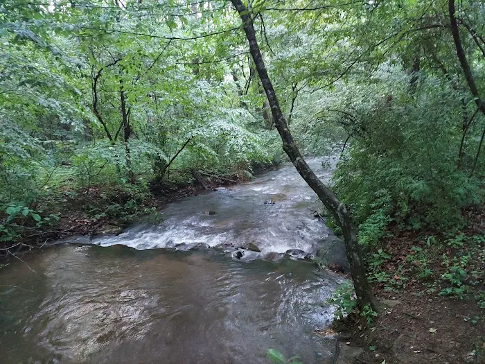 Oronoco Campground Picture 4