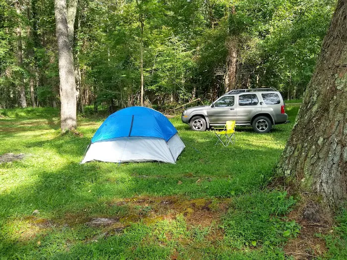 Oronoco Campground Picture 5