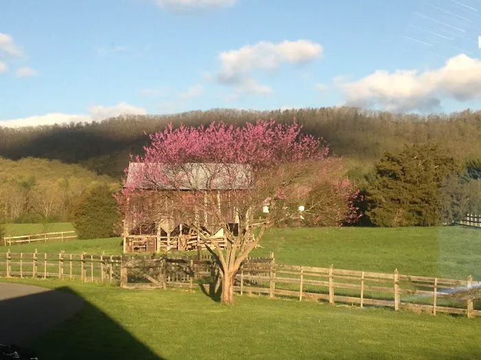 Stokesville Campground Picture 3