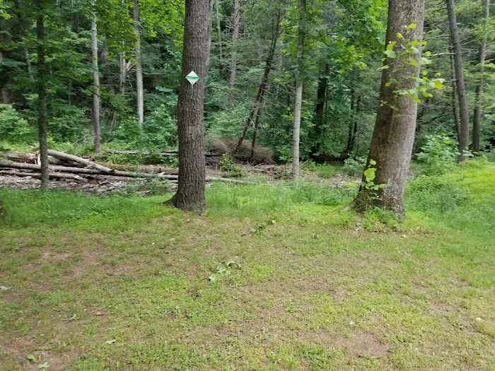 North River Campground Picture 3