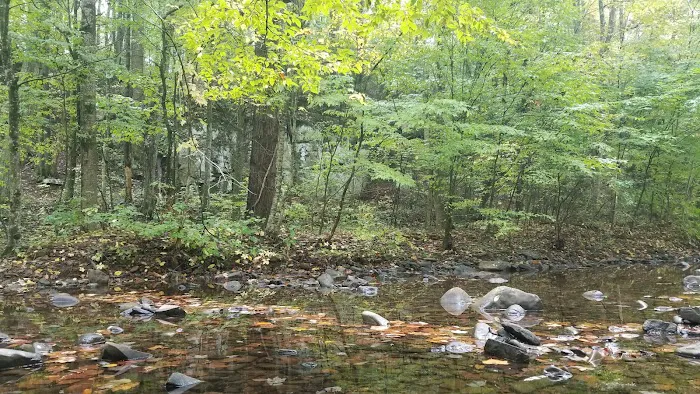 North River Campground Picture 5