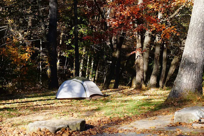 North River Campground Picture 4