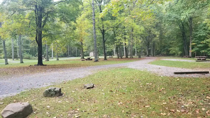 North River Campground Picture 10