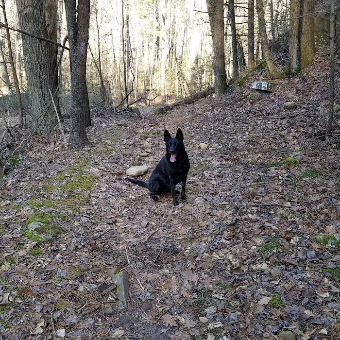 North River Campground Picture 8