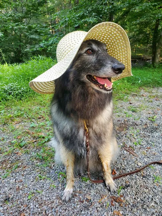 North River Campground Picture 7