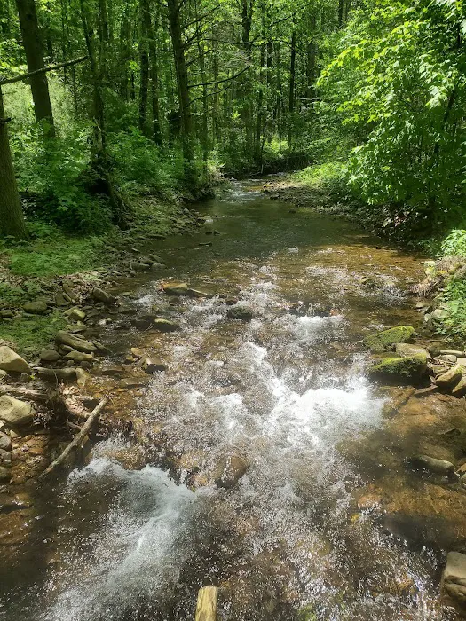 Todd Lake Recreation Area Campground Picture 2