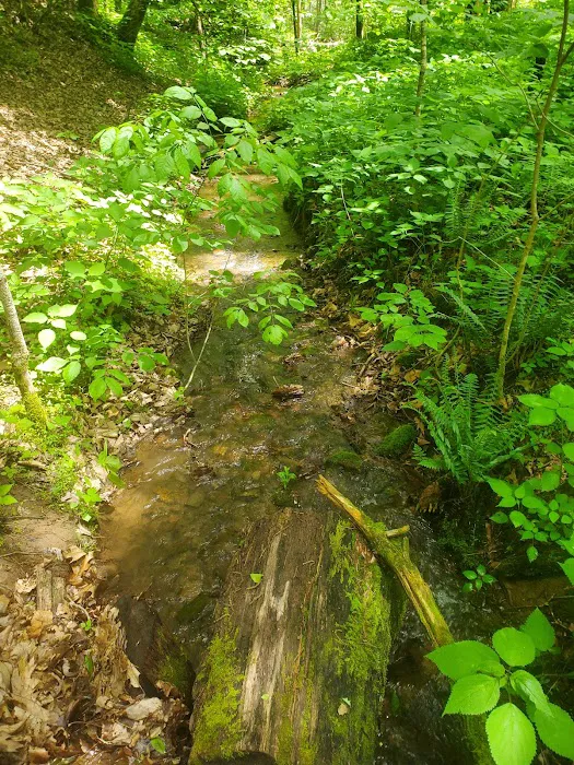 Todd Lake Recreation Area Campground Picture 4