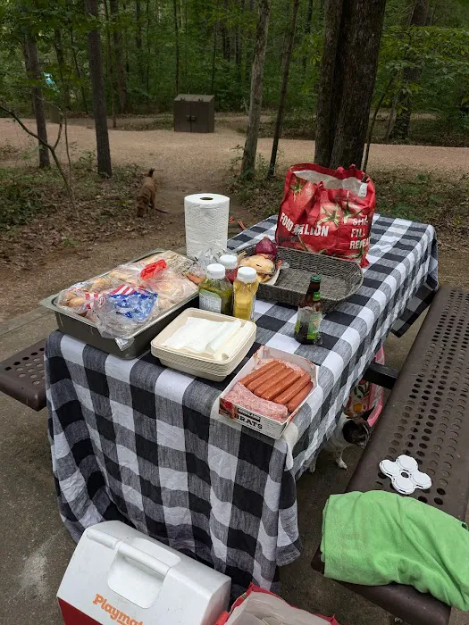 Todd Lake Recreation Area Campground Picture 7