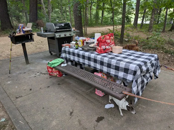 Todd Lake Recreation Area Campground Picture 6