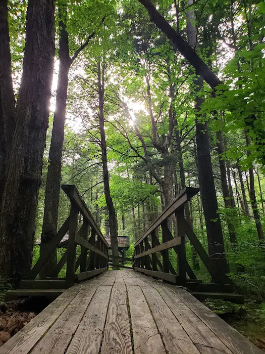 Hone Quarry Campground Picture 4