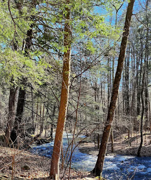 Hone Quarry Campground Picture 1