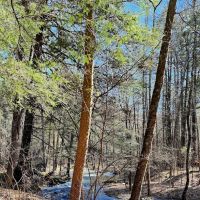 Hone Quarry Campground ico