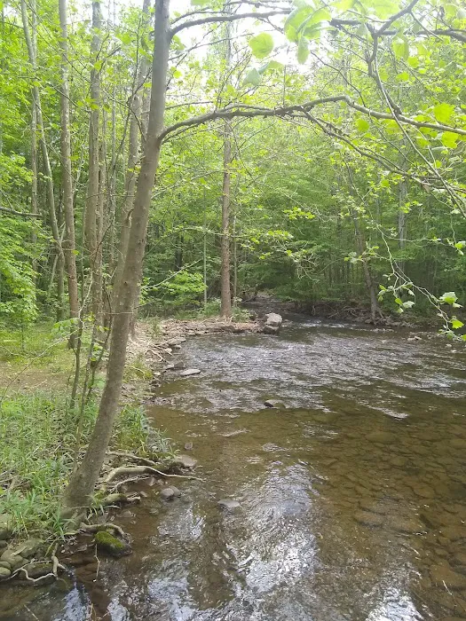 Hone Quarry Campground Picture 5