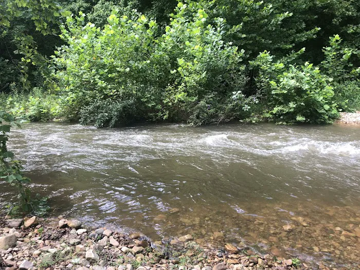 Swedish Lilac Campground & Events Picture 5