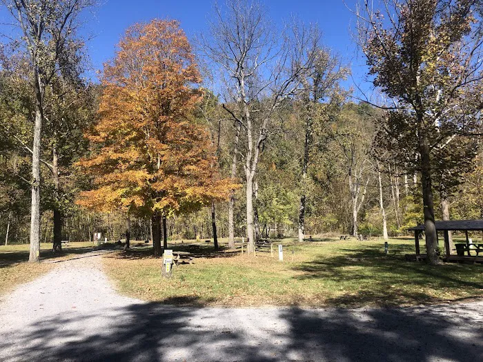 Swedish Lilac Campground & Events Picture 6