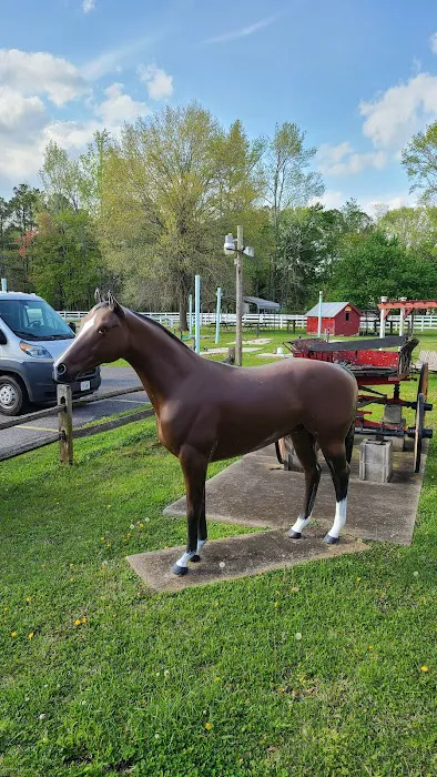 Chesapeake Campground Picture 2