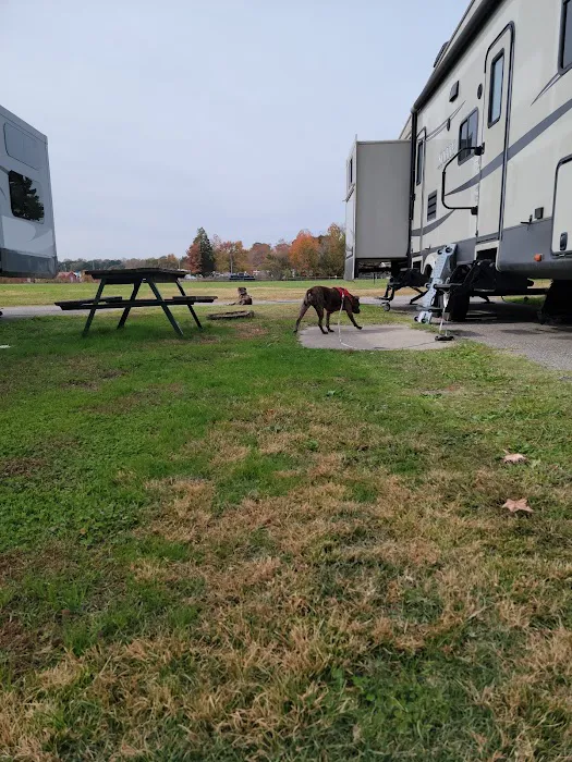 Chesapeake Campground Picture 8