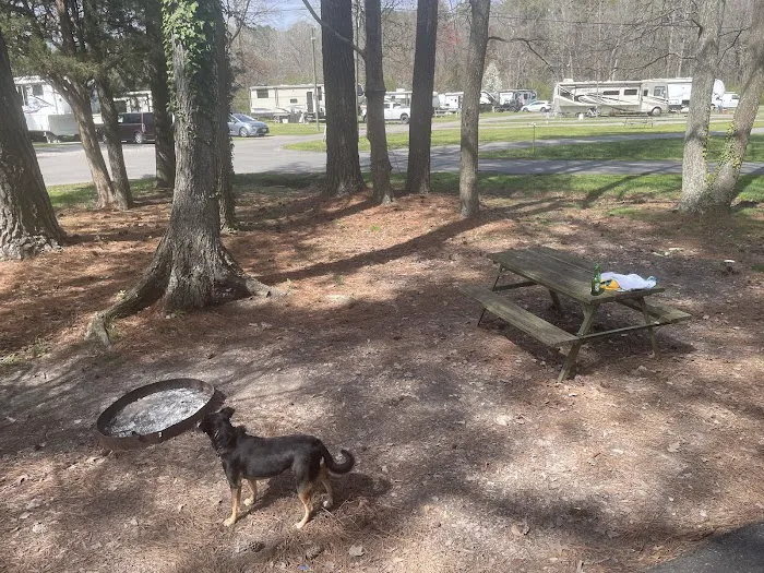 Chesapeake Campground Picture 10