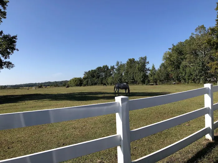 Chesapeake Campground Picture 1