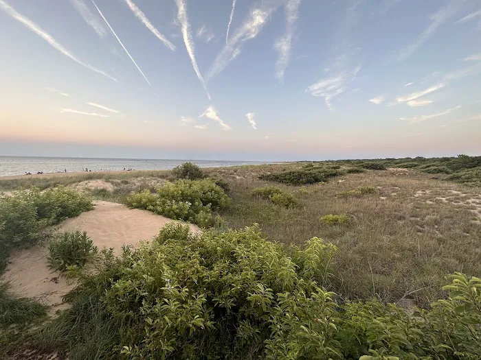 First Landing State Park Campground Picture 1