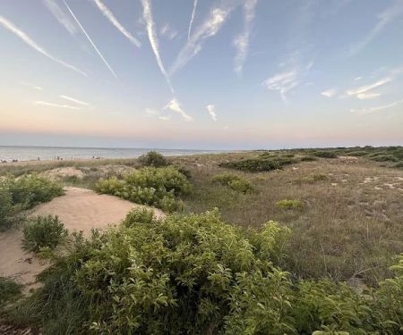 First Landing State Park Campground