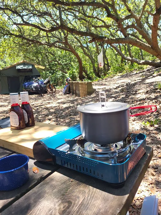 First Landing State Park Campground Picture 8