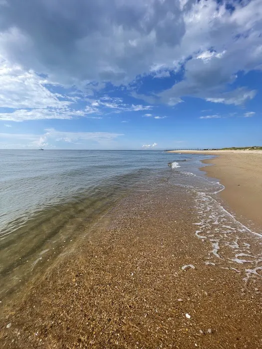 First Landing State Park Campground Picture 6