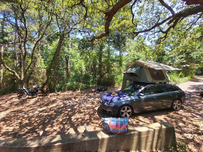 First Landing State Park Campground Picture 9