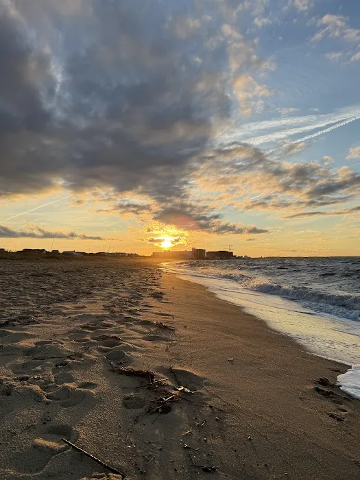 First Landing State Park Campground Picture 5
