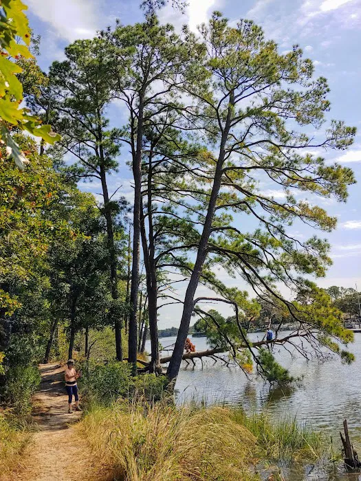 First Landing State Park Campground Picture 4