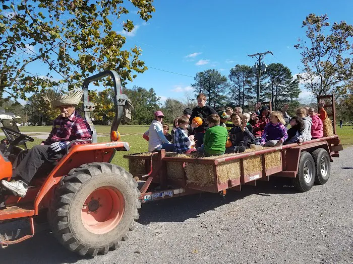 Virginia Beach KOA Holiday Picture 7