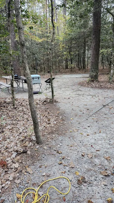 Merchants Millpond Family Campground Picture 4