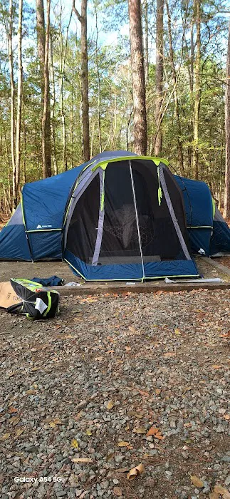 Merchants Millpond Family Campground Picture 3