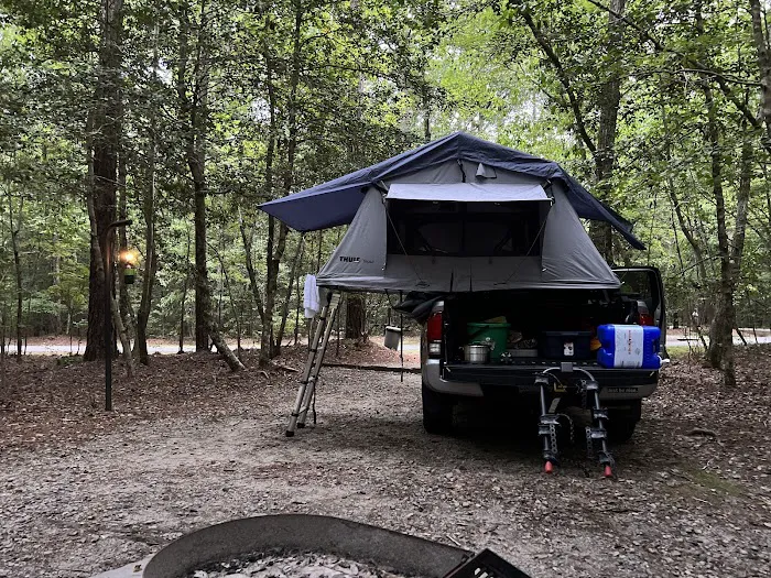 Merchants Millpond Family Campground Picture 6