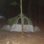 Merchants Millpond State Park - Walk-in Group Campsites