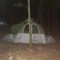 Merchants Millpond State Park - Walk-in Group Campsites ico