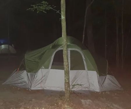 Merchants Millpond State Park - Walk-in Group Campsites