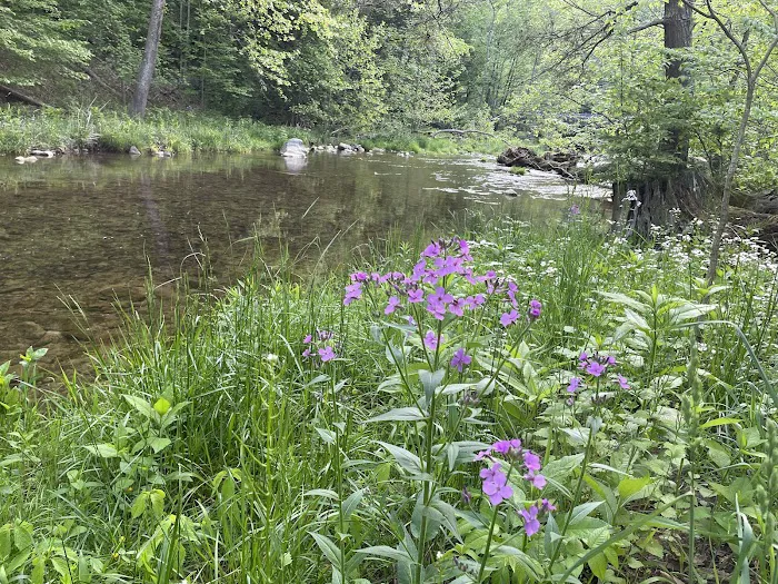 Thorn Spring Park Picture 3