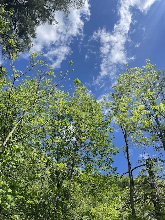 Thorn Spring Park Picture 6