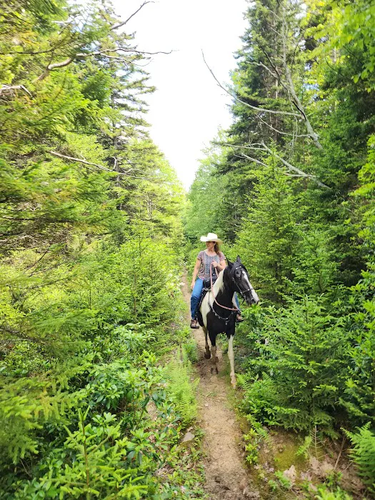 Wrangler Meadow Horse Camp Picture 8