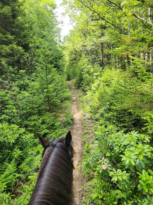Wrangler Meadow Horse Camp Picture 4