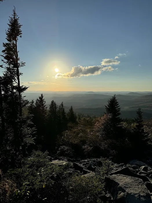 Wrangler Meadow Horse Camp Picture 1
