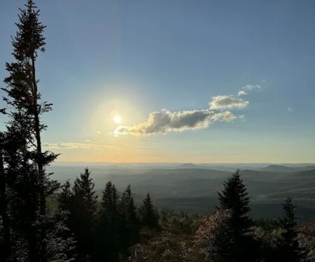 Wrangler Meadow Horse Camp