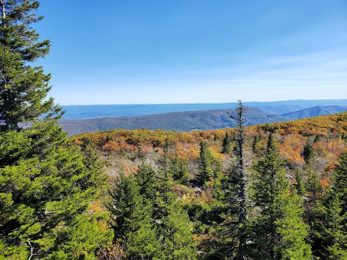 Wrangler Meadow Horse Camp Picture 2