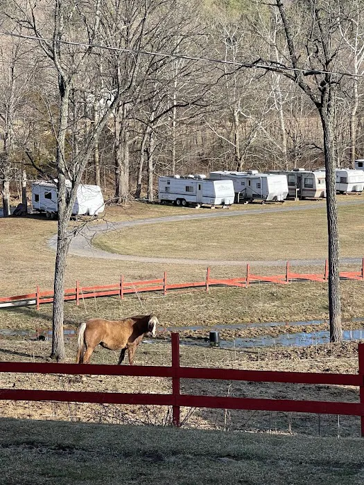 Cave Country Store & Campground Picture 3