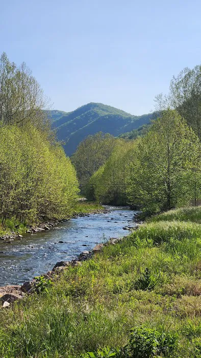 The Trout Camp aka Fontinalis Farms and Campground LLC. Picture 4